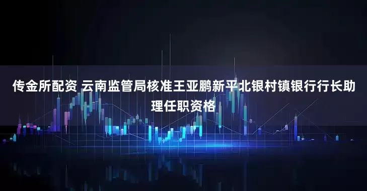 传金所配资 云南监管局核准王亚鹏新平北银村镇银行行长助理任职资格