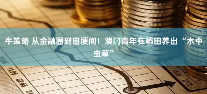 牛策略 从金融圈到田埂间！澳门青年在稻田养出 “水中虫草”