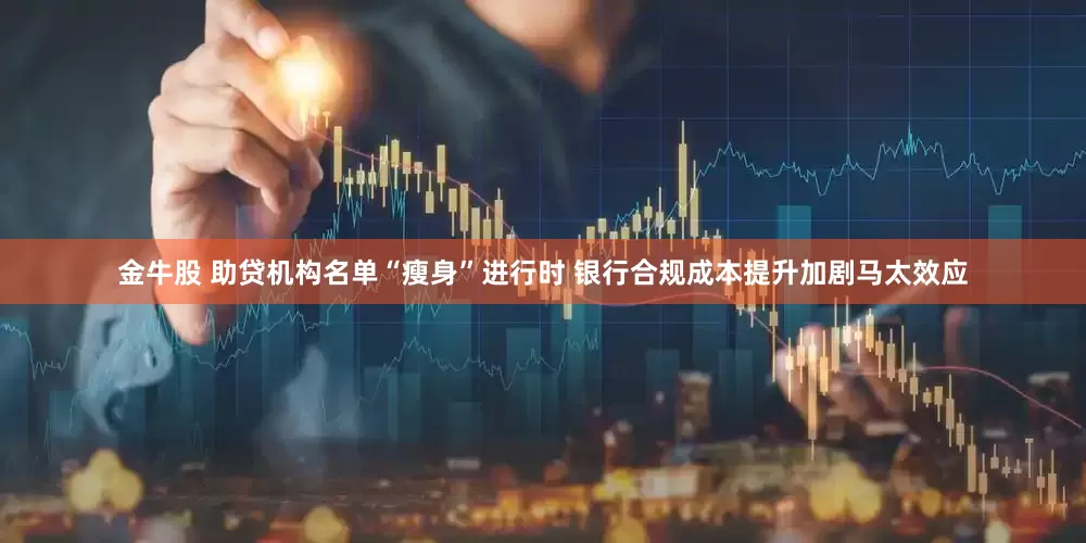 金牛股 助贷机构名单“瘦身”进行时 银行合规成本提升加剧马太效应